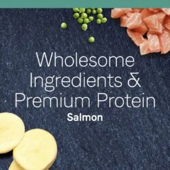 CANIDAE Grain-Free PURE Limited Ingredient Salmon Recipe Dry Cat Food -Farmina Pet Shop 103334 PT3. AC SS1800 V1643680318