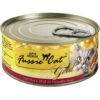Fussie Cat Super Premium Chicken & Beef Formula In Pumpkin Soup Grain-Free Canned Cat Food