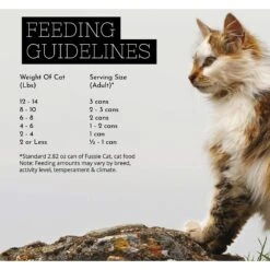 Fussie Cat Super Premium Chicken & Beef Formula In Pumpkin Soup Grain-Free Canned Cat Food -Farmina Pet Shop 105720 PT4. AC SS1800 V1642565231