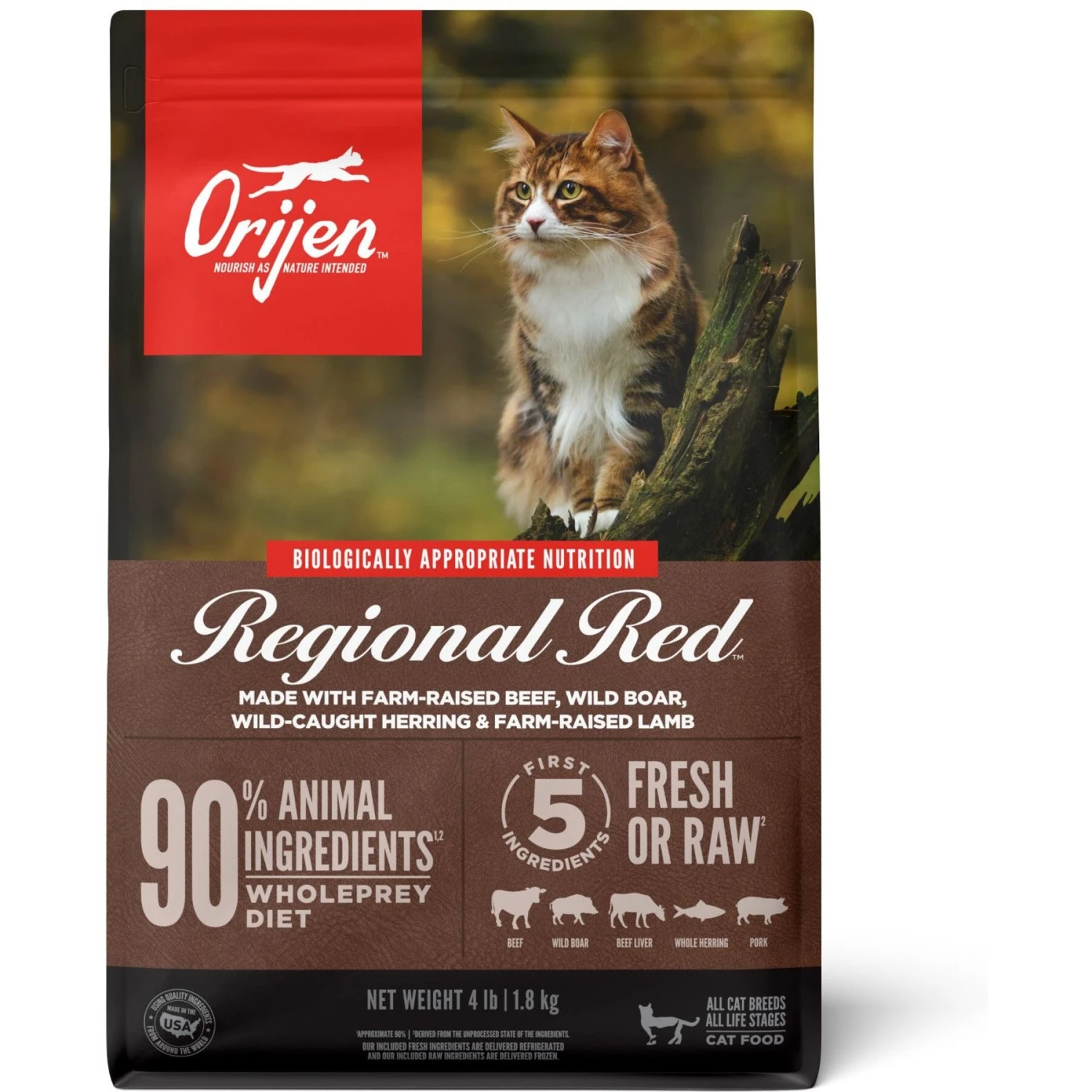 ORIJEN Regional Red Grain-Free Dry Cat Food 1 ORIJEN Regional Red Grain-Free Dry Cat Food