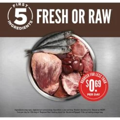 ORIJEN Regional Red Grain-Free Dry Cat Food 10 ORIJEN Regional Red Grain-Free Dry Cat Food -Farmina Pet Shop 106516 PT3. AC SS1800 V1689693094