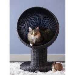 The Refined Feline Kitty Ball Cat Bed 12 The Refined Feline Kitty Ball Cat Bed -Farmina Pet Shop 111384 PT3. AC SS1800 V1565383153