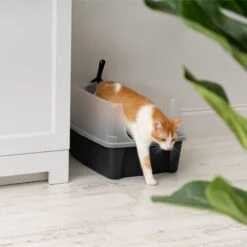 IRIS USA Open Top Litter Box With Scatter Shield & Scoop 14 IRIS USA Open Top Litter Box With Scatter Shield & Scoop -Farmina Pet Shop 116462 PT6. AC SS1800 V1680809081