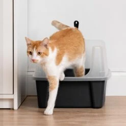 IRIS USA Open Top Litter Box With Scatter Shield & Scoop 15 IRIS USA Open Top Litter Box With Scatter Shield & Scoop -Farmina Pet Shop 116462 PT7. AC SS1800 V1680808961