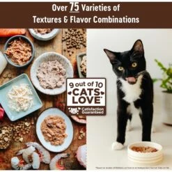 Wellness CORE Grain-Free Chicken, Turkey & Chicken Liver Formula Canned Cat Food -Farmina Pet Shop 118866 PT6. AC SS1800 V1695839476