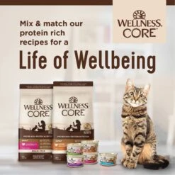 Wellness CORE Grain-Free Chicken, Turkey & Chicken Liver Formula Canned Cat Food -Farmina Pet Shop 118866 PT7. AC SS1800 V1695923308