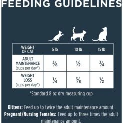 Instinct Raw Boost Grain-Free Recipe With Real Chicken & Freeze-Dried Raw Coated Pieces Dry Cat Food 17 Instinct Raw Boost Grain-Free Recipe With Real Chicken & Freeze-Dried Raw Coated Pieces Dry Cat Food -Farmina Pet Shop 119118 PT8. AC SS1800 V1565022490