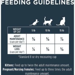 Instinct Raw Boost Indoor Grain-Free Recipe With Real Rabbit & Freeze-Dried Raw Coated Pieces Dry Cat Food 17 Instinct Raw Boost Indoor Grain-Free Recipe With Real Rabbit & Freeze-Dried Raw Coated Pieces Dry Cat Food -Farmina Pet Shop 119121 PT8. AC SS1800 V1623441751