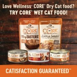 Wellness CORE Grain-Free Indoor Formula Dry Cat Food -Farmina Pet Shop 119567 PT4. AC SS1800 V1636554163