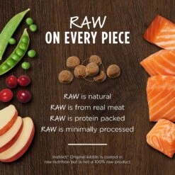 Instinct Original Grain-Free Recipe With Real Salmon Freeze-Dried Raw Coated Dry Cat Food -Farmina Pet Shop 122324 PT3. AC SS1800 V1623441459