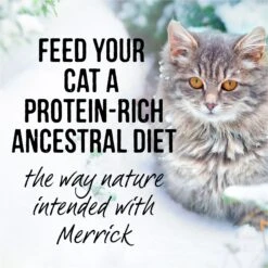 Merrick Backcountry Grain-Free Real Chicken & Trout Recipe Cuts Morsels In Gravy Cat Food Pouches -Farmina Pet Shop 123838 PT7. AC SS1800 V1638043903