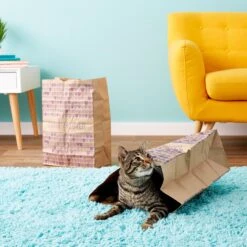 SmartyKat Cat Caves Catnip Infused Paper Bags, 2 Count -Farmina Pet Shop 137534 PT5. AC SS1800 V1525718344