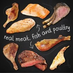 Hound & Gatos 98% Gamebird Poultry Formula Grain-Free Canned Cat Food -Farmina Pet Shop 138373 PT5. AC SS1800 V1594851063