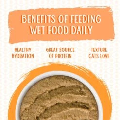 Weruva Slide N' Serve Love Connection Chicken & Salmon Dinner Pate Grain-Free Cat Food Pouches -Farmina Pet Shop 149529 PT2. AC SS1800 V1674151315