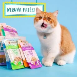 Weruva Slide N' Serve Love Connection Chicken & Salmon Dinner Pate Grain-Free Cat Food Pouches -Farmina Pet Shop 149529 PT8. AC SS1800 V1674162932