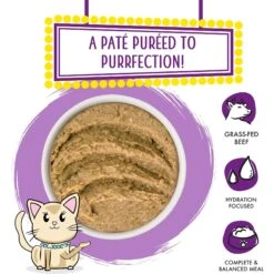 Weruva Slide N' Serve The Newly Feds Beef & Salmon Dinner Pate Grain-Free Cat Food Pouches -Farmina Pet Shop 149537 PT2. AC SS1800 V1674073819