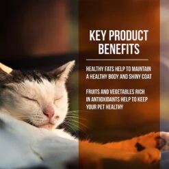 Fussie Cat Market Fresh Guinea Fowl & Turkey Meal Recipe Grain-Free Dry Cat Food 10 Fussie Cat Market Fresh Guinea Fowl & Turkey Meal Recipe Grain-Free Dry Cat Food -Farmina Pet Shop 152791 PT2. AC SS1800 V1642569686