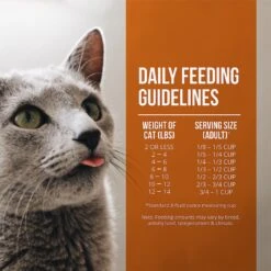 Fussie Cat Market Fresh Guinea Fowl & Turkey Meal Recipe Grain-Free Dry Cat Food 13 Fussie Cat Market Fresh Guinea Fowl & Turkey Meal Recipe Grain-Free Dry Cat Food -Farmina Pet Shop 152791 PT5. AC SS1800 V1642546963