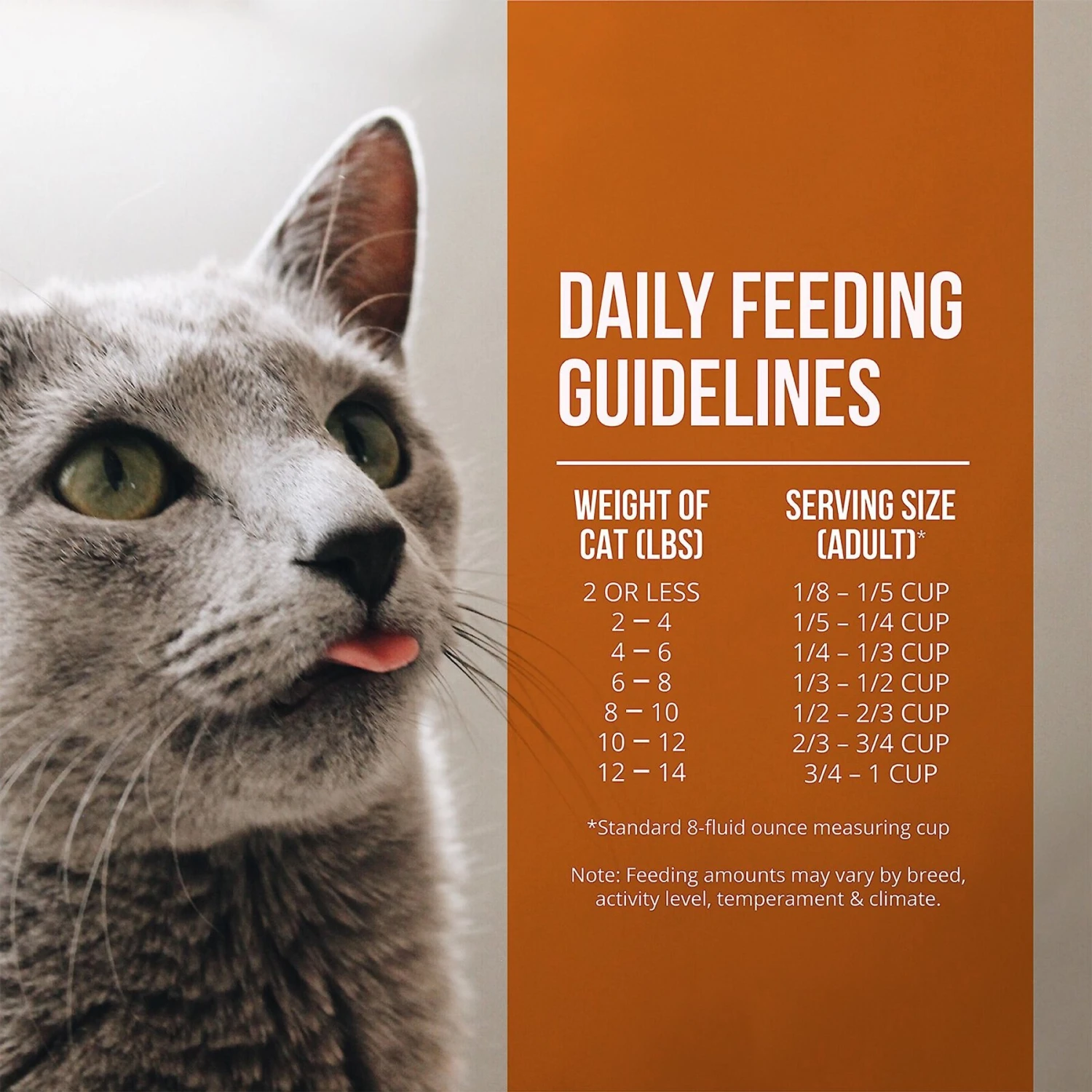 Fussie Cat Market Fresh Guinea Fowl & Turkey Meal Recipe Grain-Free Dry Cat Food 6 Fussie Cat Market Fresh Guinea Fowl & Turkey Meal Recipe Grain-Free Dry Cat Food - Image 6