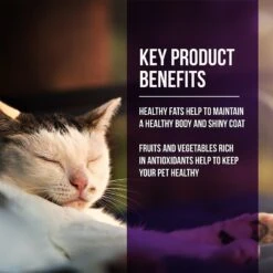 Fussie Cat Market Fresh Quail & Duck Meal Recipe Grain-Free Dry Cat Food -Farmina Pet Shop 152795 PT2. AC SS1800 V1642569986