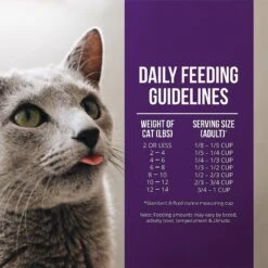 Fussie Cat Market Fresh Quail & Duck Meal Recipe Grain-Free Dry Cat Food -Farmina Pet Shop 152795 PT5. AC SS1800 V1642577189