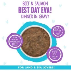 BFF OMG Best Day Eva! Beef & Salmon Dinner In Gravy Grain-Free Canned Cat Food -Farmina Pet Shop 154841 PT2. AC SS1800 V1646842299