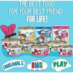 BFF OMG Best Day Eva! Beef & Salmon Dinner In Gravy Grain-Free Canned Cat Food -Farmina Pet Shop 154841 PT4. AC SS1800 V1646854362