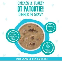 BFF OMG QT Patootie! Chicken & Turkey Dinner In Gravy Grain-Free Canned Cat Food -Farmina Pet Shop 154849 PT2. AC SS1800 V1646842883
