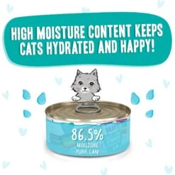 BFF OMG QT Patootie! Chicken & Turkey Dinner In Gravy Grain-Free Canned Cat Food -Farmina Pet Shop 154849 PT3. AC SS1800 V1646848089