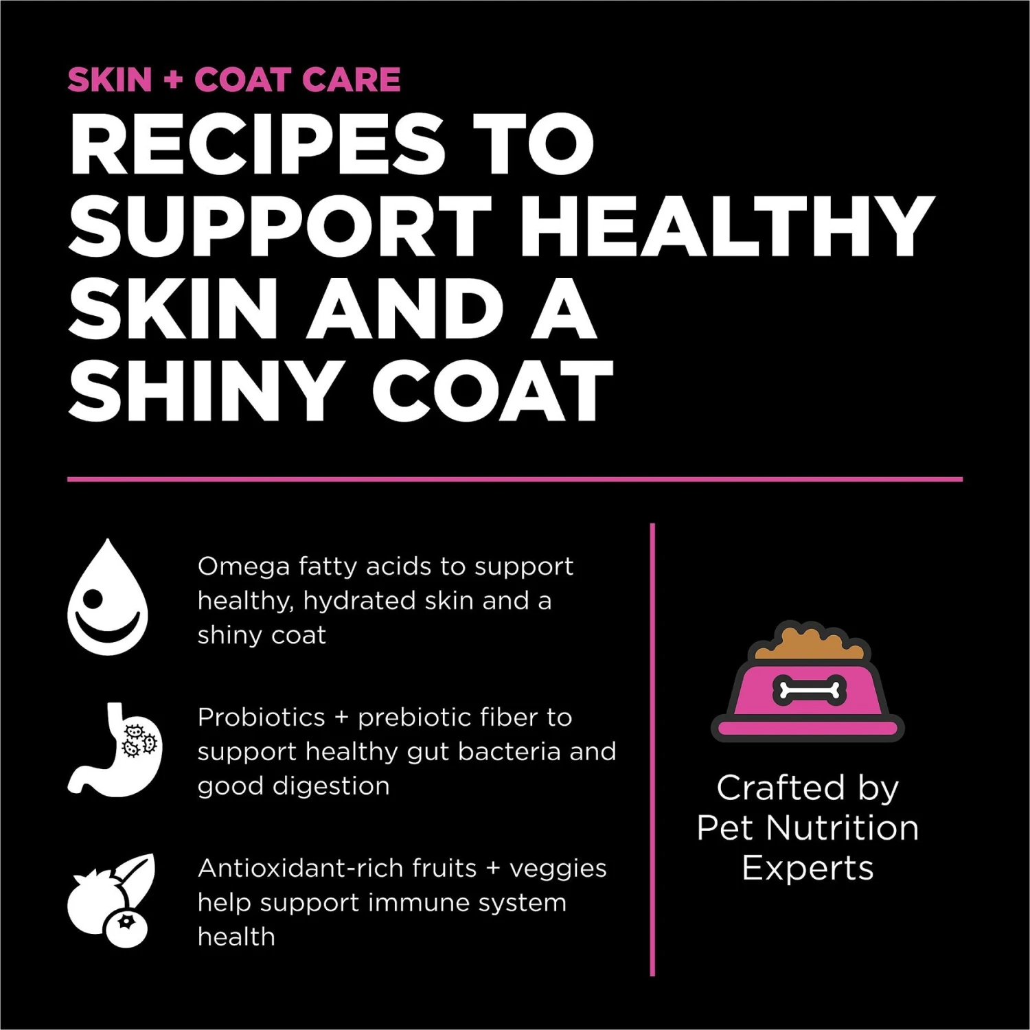 Go! Solutions Skin + Coat Care Chicken Recipe Dry Cat Food 2 Go! Solutions Skin + Coat Care Chicken Recipe Dry Cat Food - Image 2