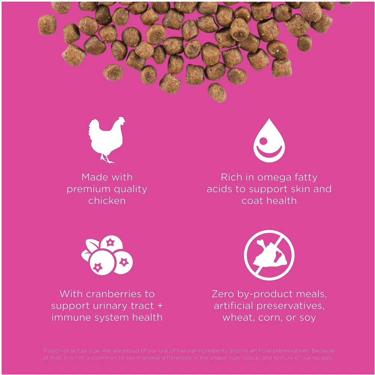 Go! Solutions Skin + Coat Care Chicken Recipe Dry Cat Food 3 Go! Solutions Skin + Coat Care Chicken Recipe Dry Cat Food - Image 3