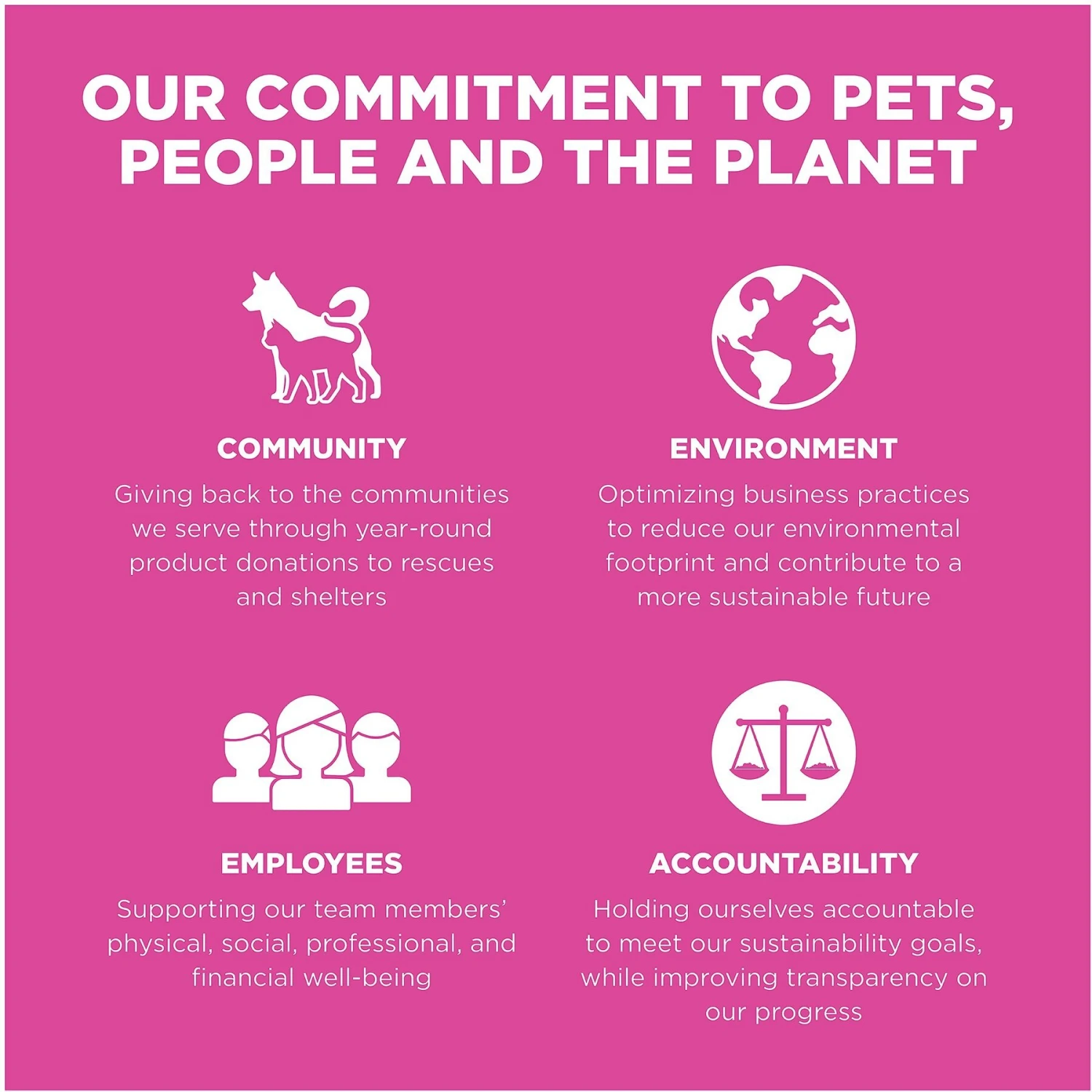 Go! Solutions Skin + Coat Care Chicken Recipe Dry Cat Food 9 Go! Solutions Skin + Coat Care Chicken Recipe Dry Cat Food - Image 9