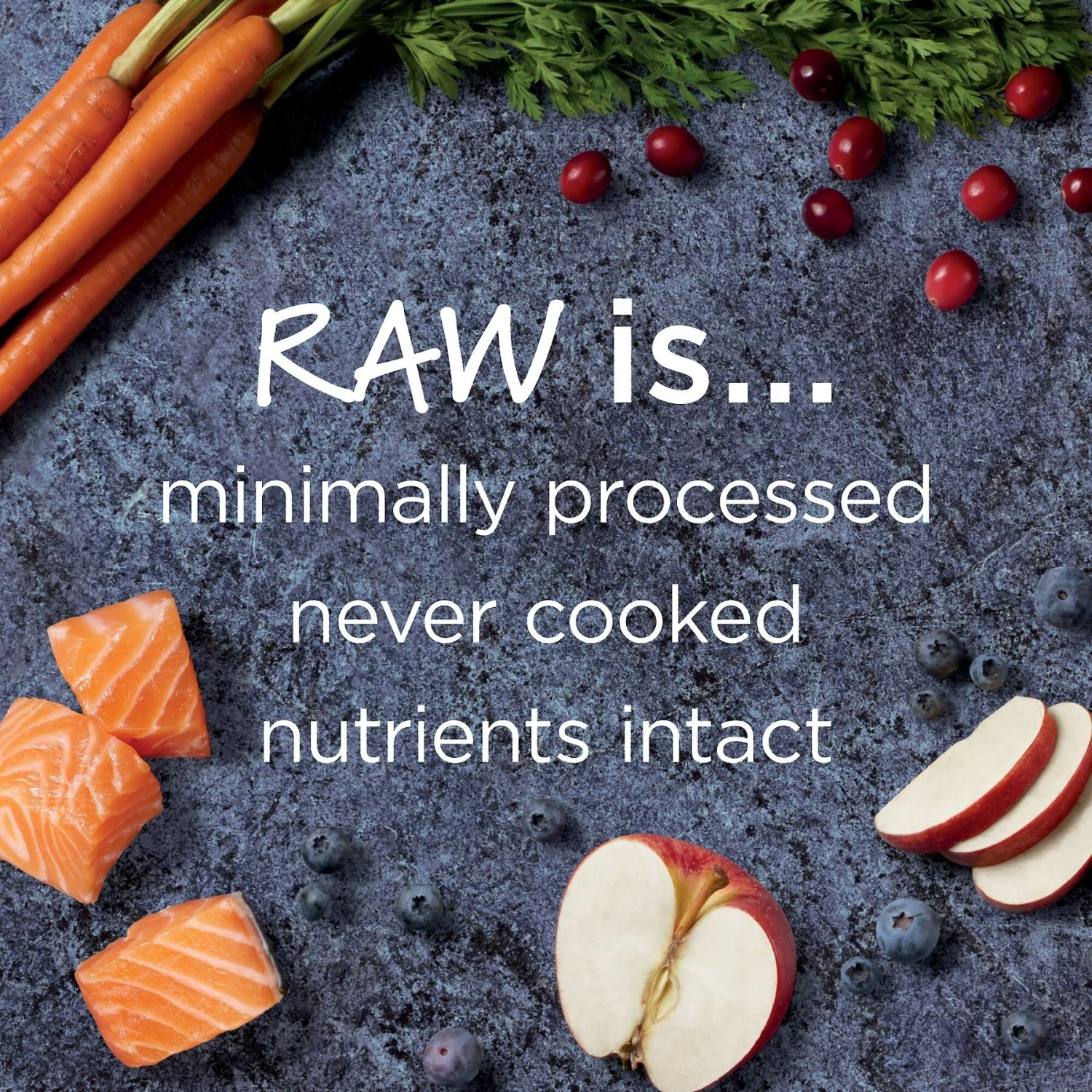 Instinct Raw Boost Grain-Free Recipe With Real Salmon & Freeze-Dried Raw Coated Pieces Dry Cat Food 4 Instinct Raw Boost Grain-Free Recipe With Real Salmon & Freeze-Dried Raw Coated Pieces Dry Cat Food - Image 4