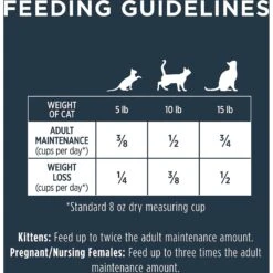 Instinct Raw Boost Grain-Free Recipe With Real Salmon & Freeze-Dried Raw Coated Pieces Dry Cat Food 17 Instinct Raw Boost Grain-Free Recipe With Real Salmon & Freeze-Dried Raw Coated Pieces Dry Cat Food -Farmina Pet Shop 160766 PT8. AC SS1800 V1623434282