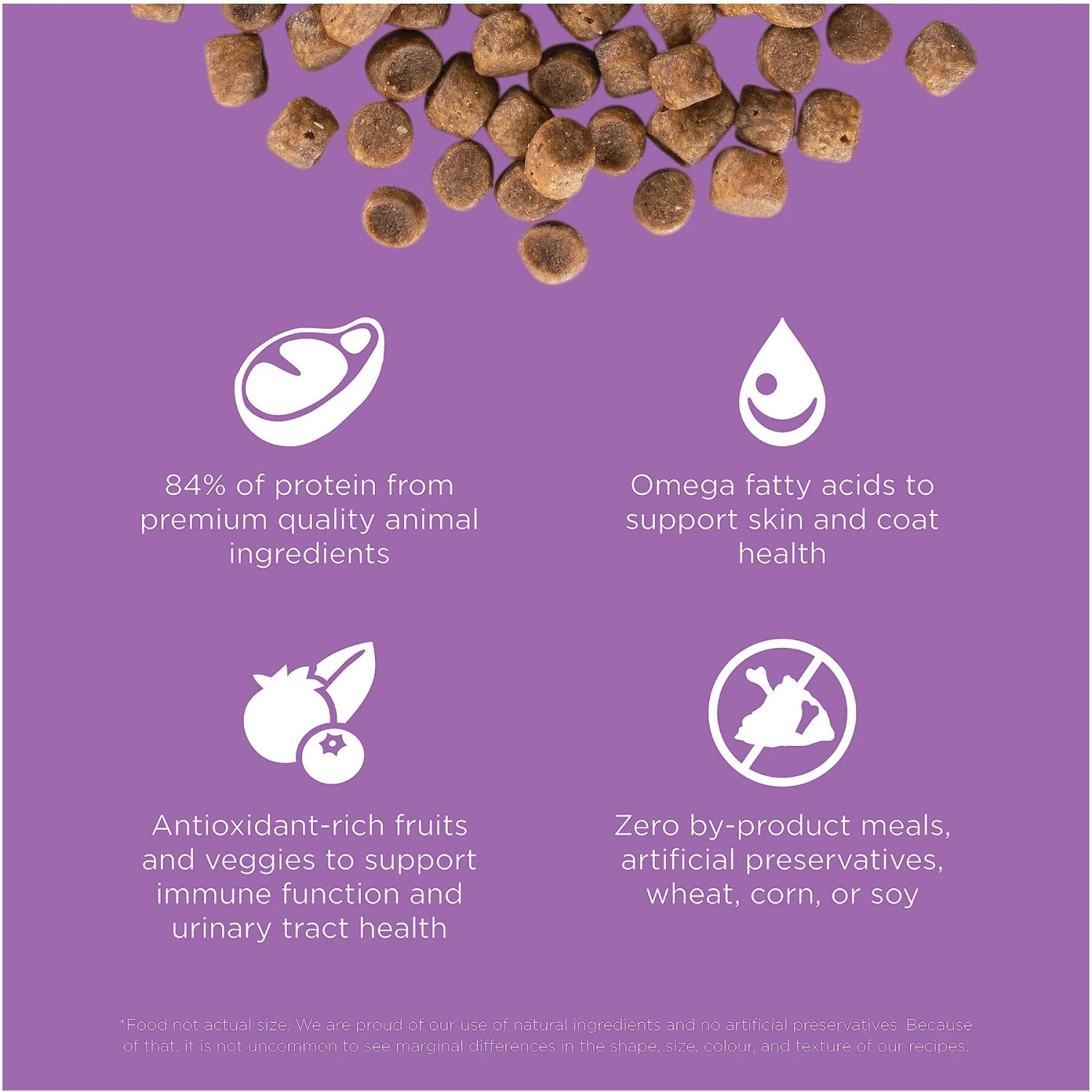 Go! Solutions Carnivore Grain-Free Chicken, Turkey + Duck Recipe Dry Cat Food 3 Go! Solutions Carnivore Grain-Free Chicken, Turkey + Duck Recipe Dry Cat Food - Image 3