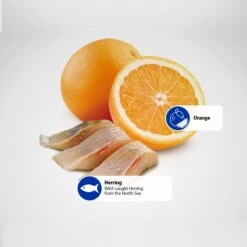 Farmina N&D Ocean Herring & Orange Adult Grain-Free Dry Cat Food -Farmina Pet Shop 175524 PT4. AC SS1800 V1591127568