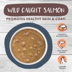 Weruva Classic Cat Goody Stew Shoes Chicken & Salmon In Gravy Stew Canned Cat Food 10 Weruva Classic Cat Goody Stew Shoes Chicken & Salmon In Gravy Stew Canned Cat Food -Farmina Pet Shop 178193 PT2. AC SS1800 V1672328221