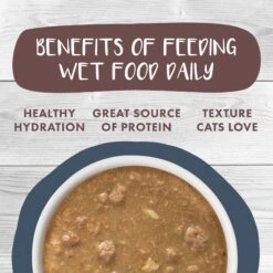 Weruva Classic Cat Goody Stew Shoes Chicken & Salmon In Gravy Stew Canned Cat Food 13 Weruva Classic Cat Goody Stew Shoes Chicken & Salmon In Gravy Stew Canned Cat Food -Farmina Pet Shop 178193 PT5. AC SS1800 V1672256690