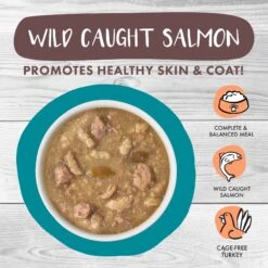 Weruva Classic Cat Stew's Clues Turkey, Chicken & Salmon In Gravy Stew Wet Canned Cat Food -Farmina Pet Shop 178203 PT2. AC SS1800 V1672255881