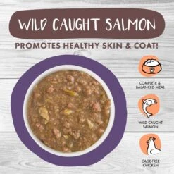 Weruva Classic Cat Too Hot To Handle Chicken, Duck & Salmon In Gravy Stew Cat Food Pouches -Farmina Pet Shop 178213 PT3. AC SS1800 V1672328892