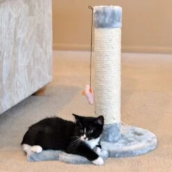 Armarkat 19-in Sisal Cat Scratching Post With Toy -Farmina Pet Shop 179081 PT2. AC SS1800 V1678228287