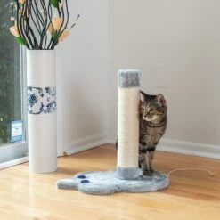 Armarkat 19-in Sisal Cat Scratching Post With Toy -Farmina Pet Shop 179081 PT4. AC SS1800 V1678228224