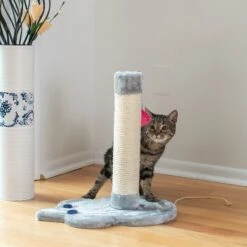 Armarkat 19-in Sisal Cat Scratching Post With Toy -Farmina Pet Shop 179081 PT5. AC SS1800 V1678285921