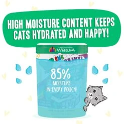 BFF OMG Text Me! Chicken & Turkey In Gravy Wet Cat Food Pouches -Farmina Pet Shop 182282 PT3. AC SS1800 V1644903102