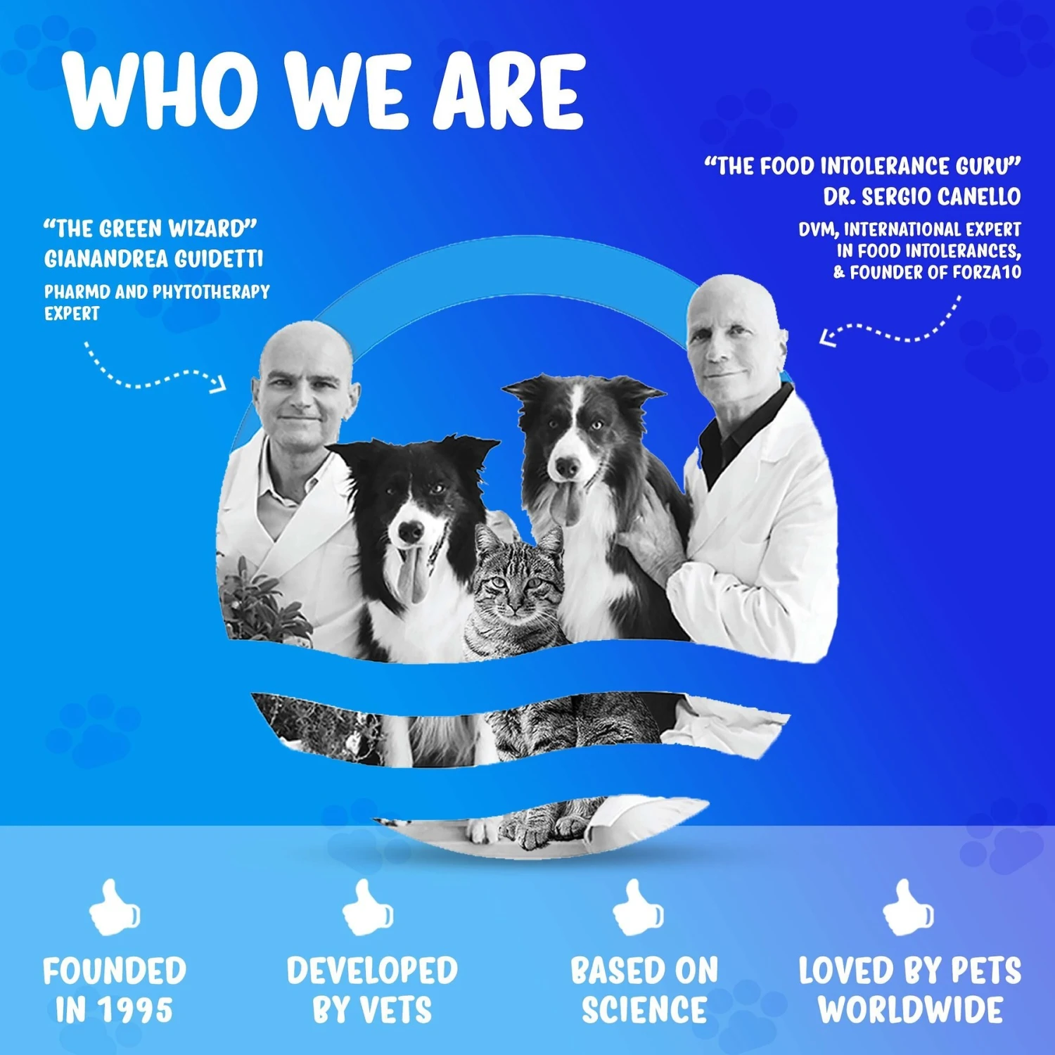 Forza10 Nutraceutic Active Intestinal Support Diet Dry Cat Food 4 Forza10 Nutraceutic Active Intestinal Support Diet Dry Cat Food - Image 4