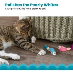 Catstages Dental Shrimpies Cat Chew Toy With Catnip, 2 Count 10 Catstages Dental Shrimpies Cat Chew Toy With Catnip, 2 Count -Farmina Pet Shop 190723 PT3. AC SS1800 V1636500155