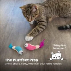 Catstages Dental Shrimpies Cat Chew Toy With Catnip, 2 Count 12 Catstages Dental Shrimpies Cat Chew Toy With Catnip, 2 Count -Farmina Pet Shop 190723 PT5. AC SS1800 V1636518222
