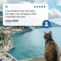 Farmina N&D Ocean Codfish, Spelt, Oats & Orange Adult Dry Cat Food 11 Farmina N&D Ocean Codfish, Spelt, Oats & Orange Adult Dry Cat Food -Farmina Pet Shop 196219 PT7. AC SS1800 V1679329587