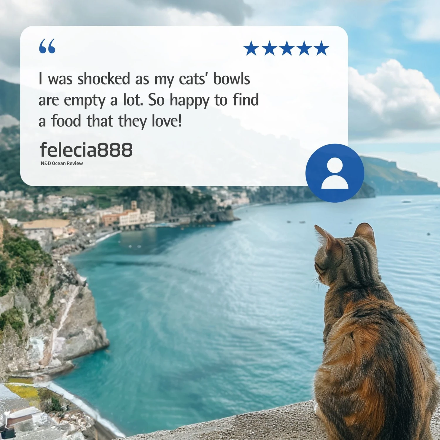 Farmina N&D Ocean Codfish, Spelt, Oats & Orange Adult Dry Cat Food 6 Farmina N&D Ocean Codfish, Spelt, Oats & Orange Adult Dry Cat Food - Image 6