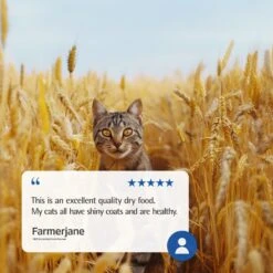 Farmina N&D Ancestral Grain Chicken & Pomegranate Recipe Neutered Cat Dry Food -Farmina Pet Shop 207631 PT7. AC SS1800 V1679329934